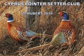PHOTO ST. HUBERT