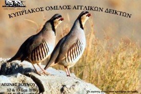 ΑΓΩΝΑΣ ΒΟΥΝΟΥ ΑΦΙΣΑ_1