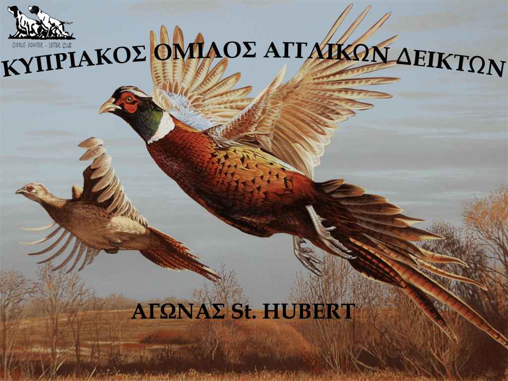 ΑΓΩΝΕΣ St HUBERT ΑΦΙΣΑ