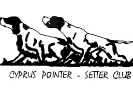 SKITSO POINTER - SETTER CLUB TELIKO JPEG