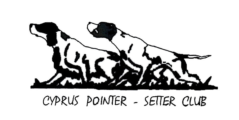 SKITSO POINTER - SETTER CLUB TELIKO JPEG