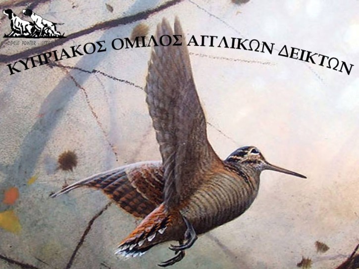 Μπεκάτσα2016