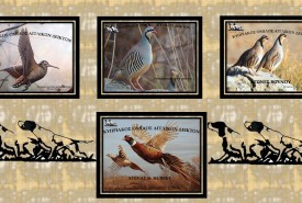 %ce%b1%ce%bd%ce%b1%ce%ba%ce%bf%ce%b9%ce%bd%cf%89%cf%83%ce%b7-fb