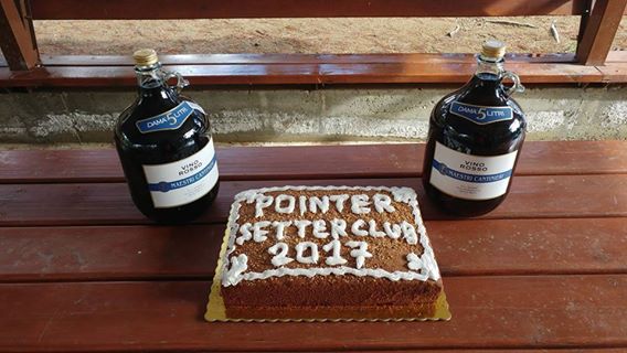 15940397_692487304244065_3600723829190683924_n