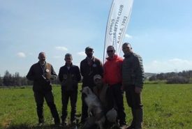 16807080_716987911794004_6669712788346399624_n