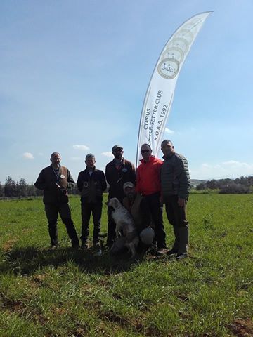 16807080_716987911794004_6669712788346399624_n