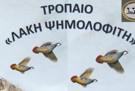 17022503_721300521362743_232388744415617225_n