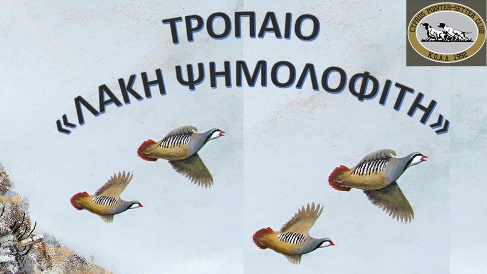 17022503_721300521362743_232388744415617225_n