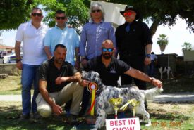 18402584_758257961000332_2040329383899214943_n