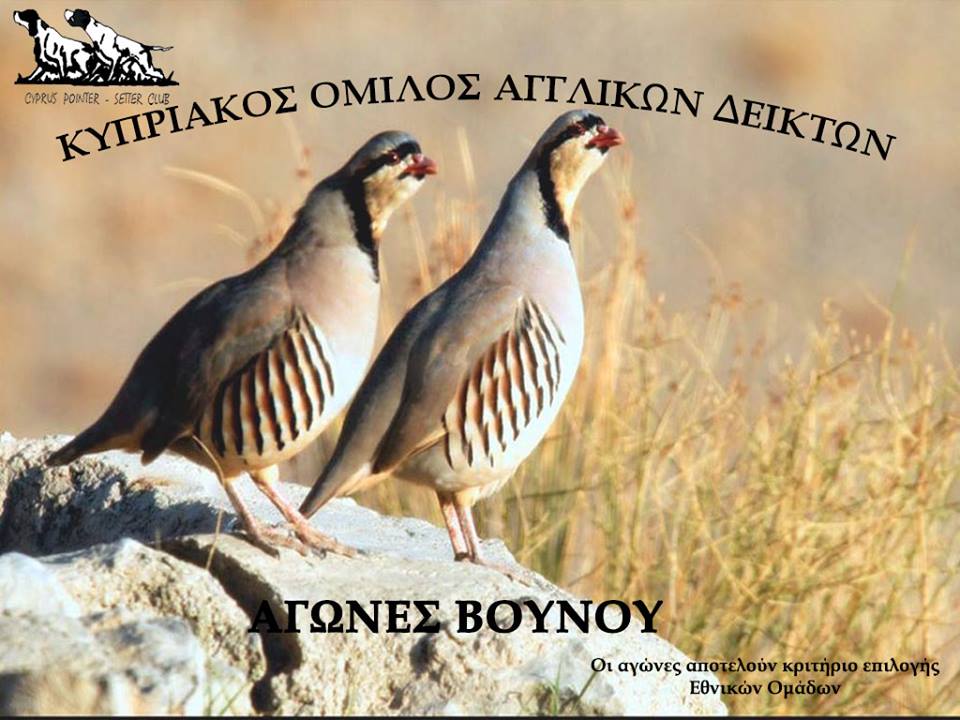 21032381_820131058146355_9129735112010450806_n