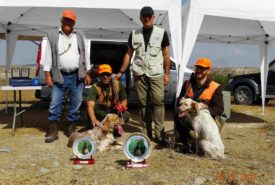 22490239_843157122510415_4301971311263079078_n