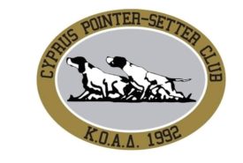 23472389_857184371107690_3337554782795042702_n