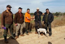 26804976_889729271186533_2486771423899092662_n