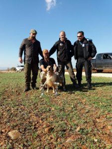 26805162_889729234519870_2022148981140397743_n