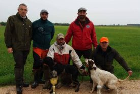 27972193_907527729406687_5793082821729344366_n