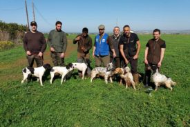 28166513_908065269352933_1484215817759566513_n