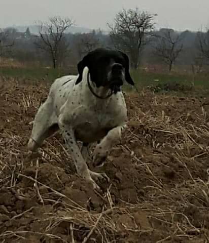 28166989_912508045575322_3124016958914611518_n