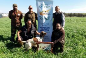 28168493_912291365596990_9487978310643074_n