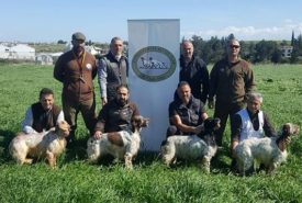 28277007_912308162261977_6756924680271065618_n