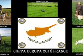 28424657_916879631804830_8460473898153515009_o