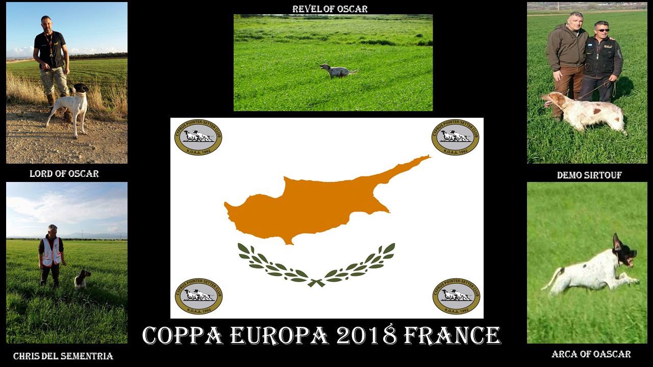 28424657_916879631804830_8460473898153515009_o