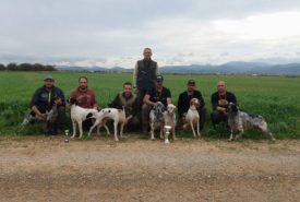 28958774_920124234813703_6044421283704209408_n