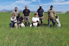 29104404_920568228102637_419450680835571712_n