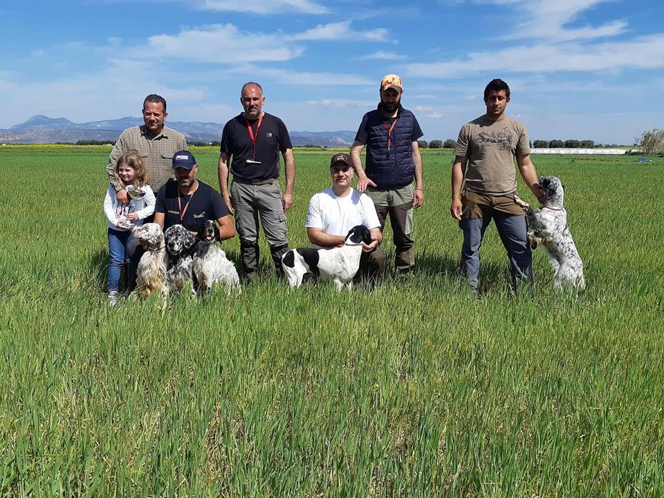 29104404_920568228102637_419450680835571712_n