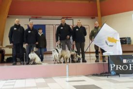 29790916_935157893310337_359155967134269440_n