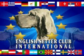 30516501_937878383038288_7974690362323107840_n