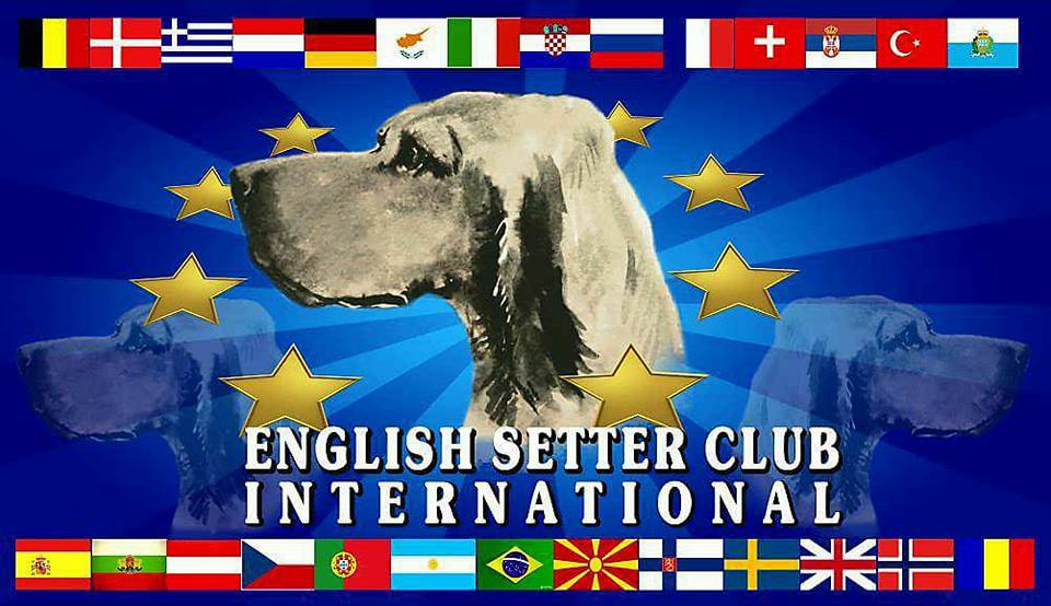 30516501_937878383038288_7974690362323107840_n