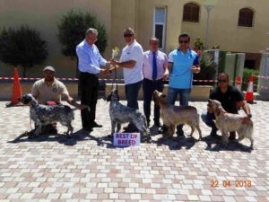 31124526_944518799040913_823407292920627200_o