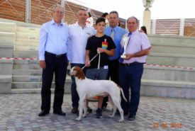 31189716_944519009040892_5328893450316152832_o