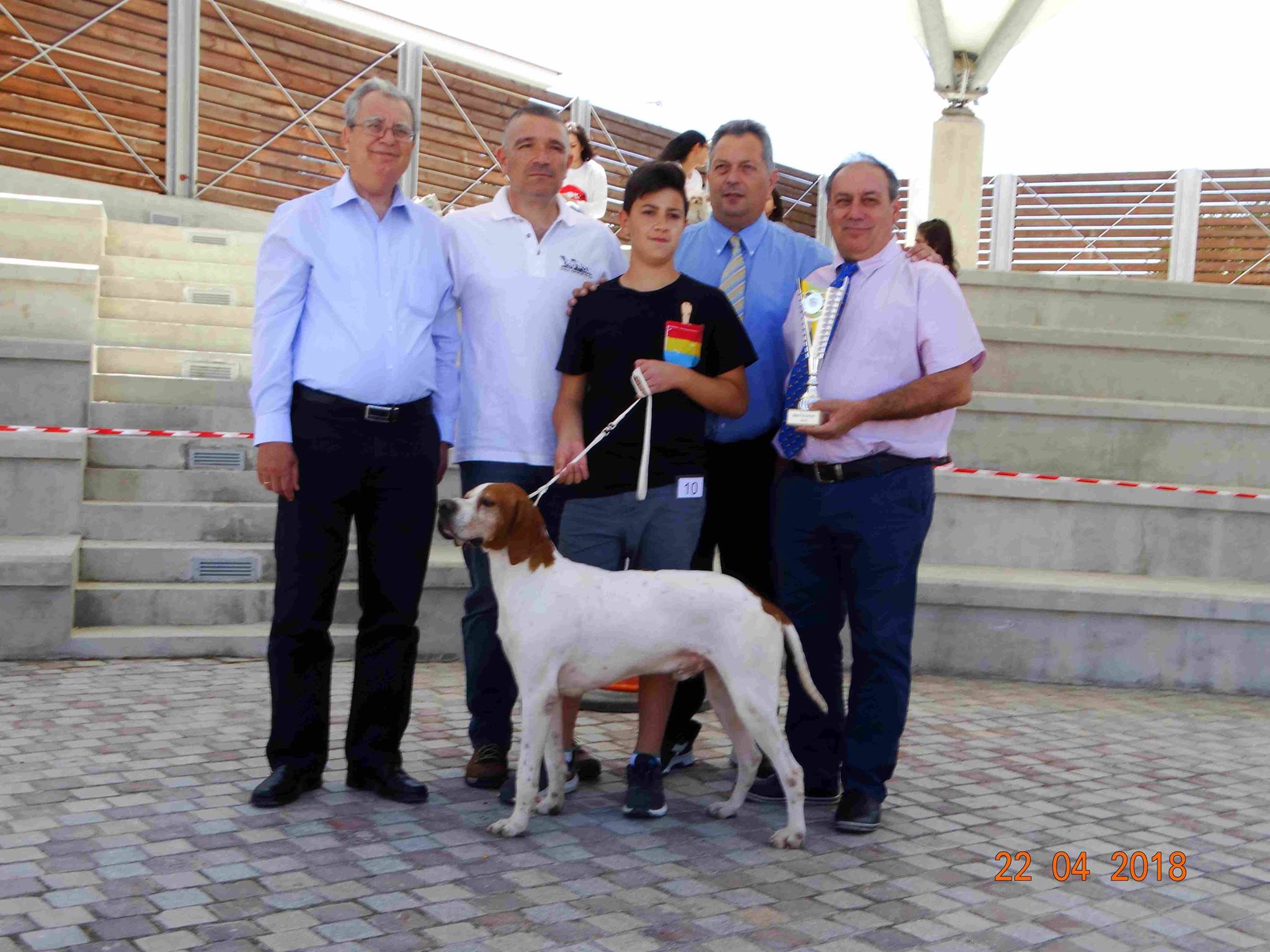 31189716_944519009040892_5328893450316152832_o