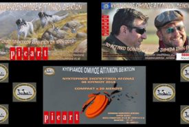 34338824_967099603449499_2328375524340006912_n