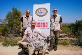 34383442_966841453475314_4077167593159393280_n