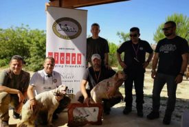 34857612_969983709827755_6406064410565017600_o