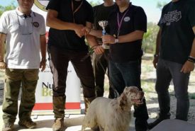 34984784_971217913037668_7671852248346918912_n