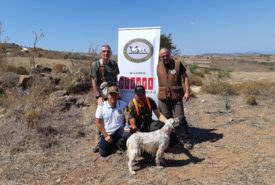 41991547_1065932453566213_9157624411199635456_o