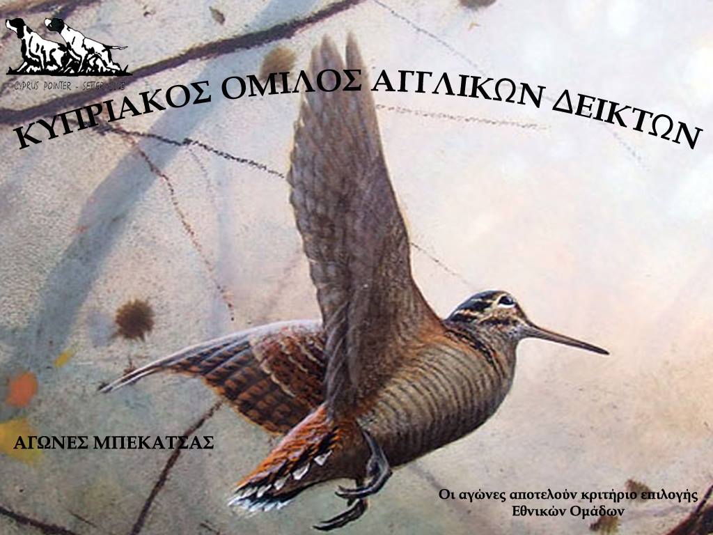 45863717_1101022660057192_1191635558128943104_o