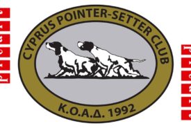 49713965_1141572372668887_6247225877029978112_n