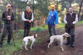 49800322_1140371292788995_2136105004027609088_n