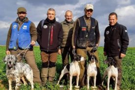 50252810_1149619875197470_5996585600113704960_n