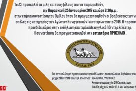 50480708_1146077318885059_6071562449062985728_n