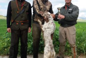 51742064_1164159720410152_9110501576216150016_n