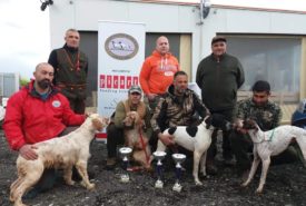 52446242_1169031036589687_259524549912035328_n