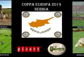 52574073_1173287846164006_6657989402393837568_n