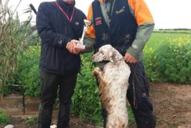 52678020_1168463433313114_7016343451889303552_n