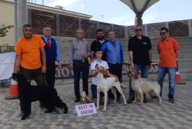 59416090_1218950841597706_378558529138589696_o