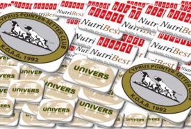 61012678_1234150133411110_5283782691546726400_o